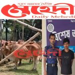 বাড়ছে অবৈধ গরু প্রবেশের প্রবণতা-মিয়ানমার থেকে আসা গাড়িসহ ১০টি গরু নিয়ে চালক আটক