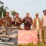 উখিয়ায় বনবিভাগ ও বিজিবি’র যৌথ অভিযান: ৫০ টুকরা আকাশমনি গোলকাঠ ও ২টি মোটরসাইকেল জব্দ
